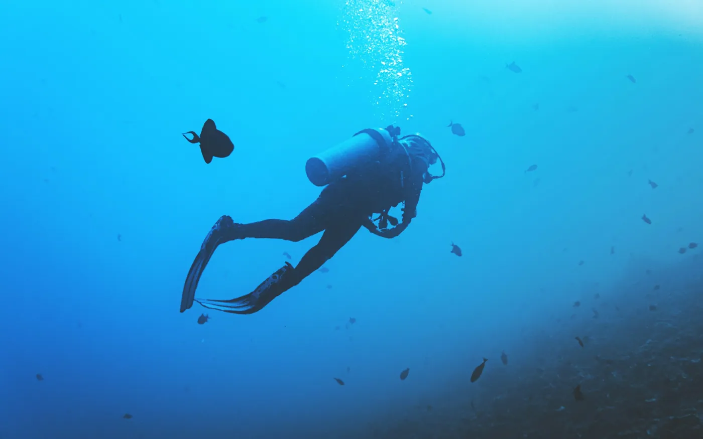 A scuba diver silhouetted against the surface in mid kick