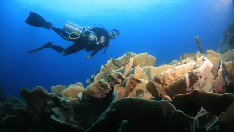 A scuba diver swimming level and horizontal above a coral outcrop