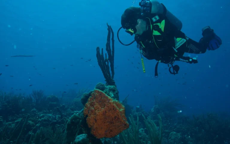 A scuba diver in full equipment swimming over a reef