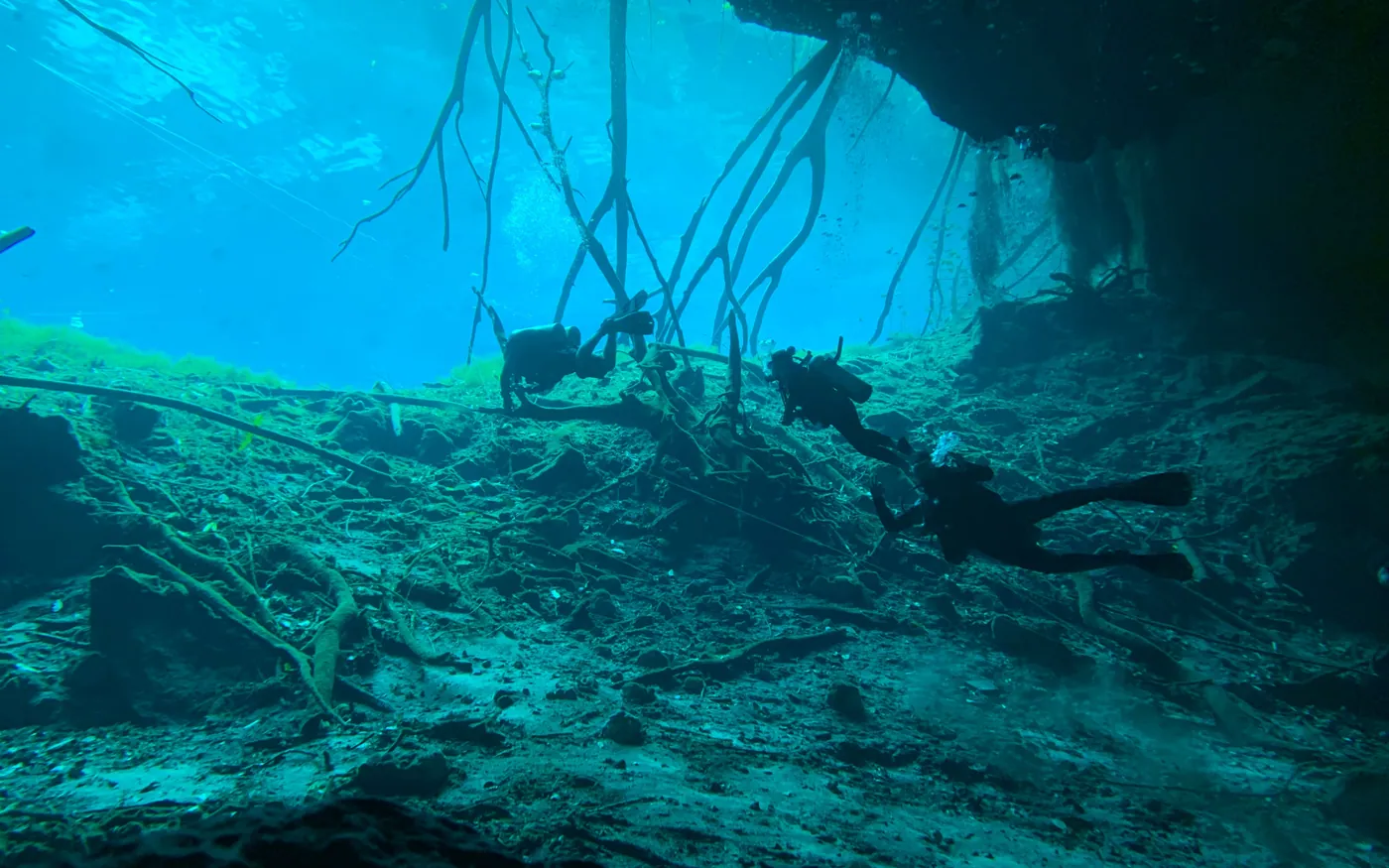 A scuba diver beneath an overhang in green, low-visibility water