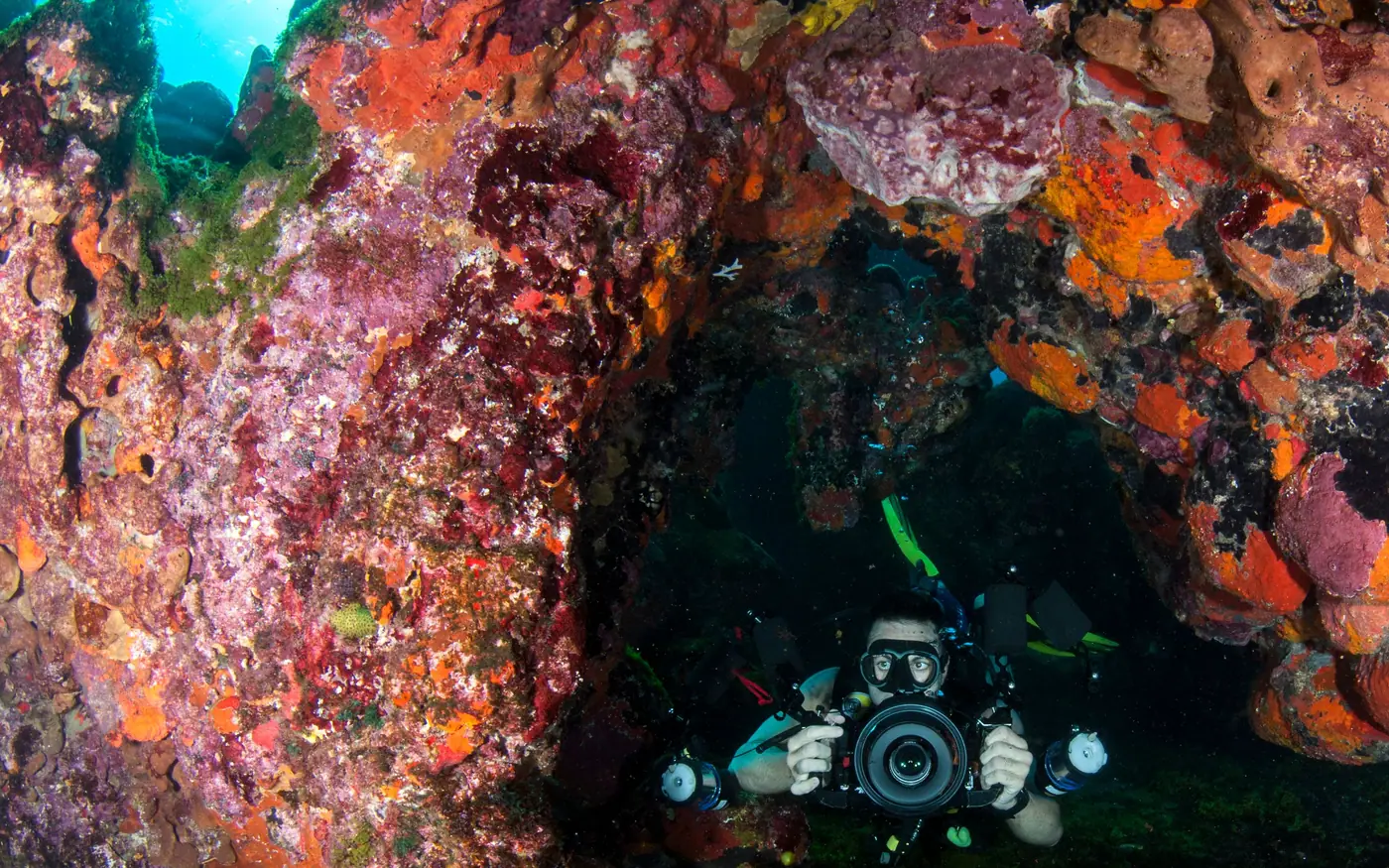 A diver holding position against a wall with a camera