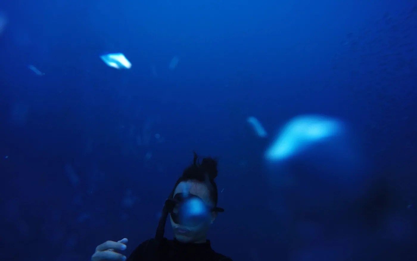 A scuba diver carrying a light in deep blue water