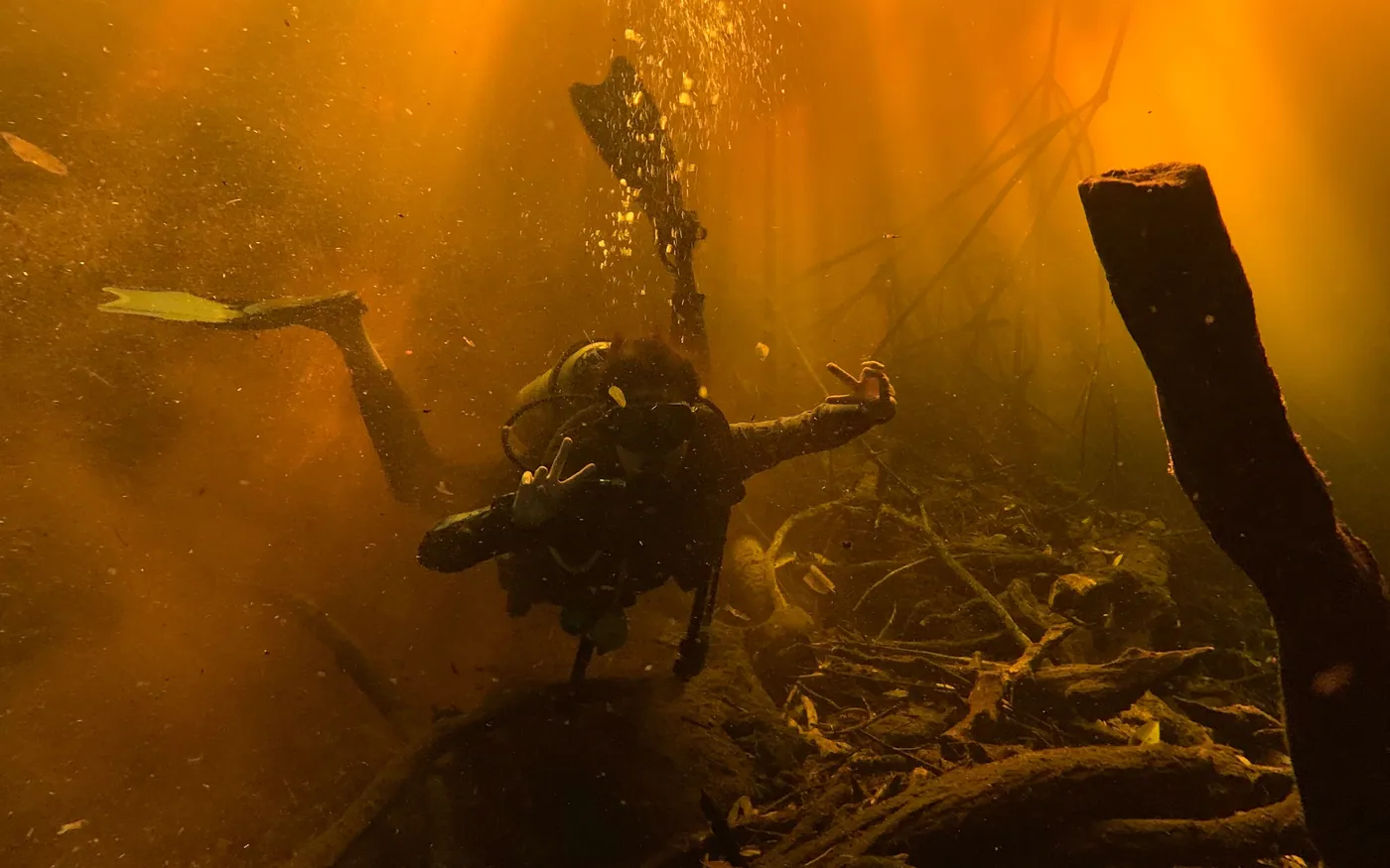 A scuba diver with a light in dark tannic water where visibility is short