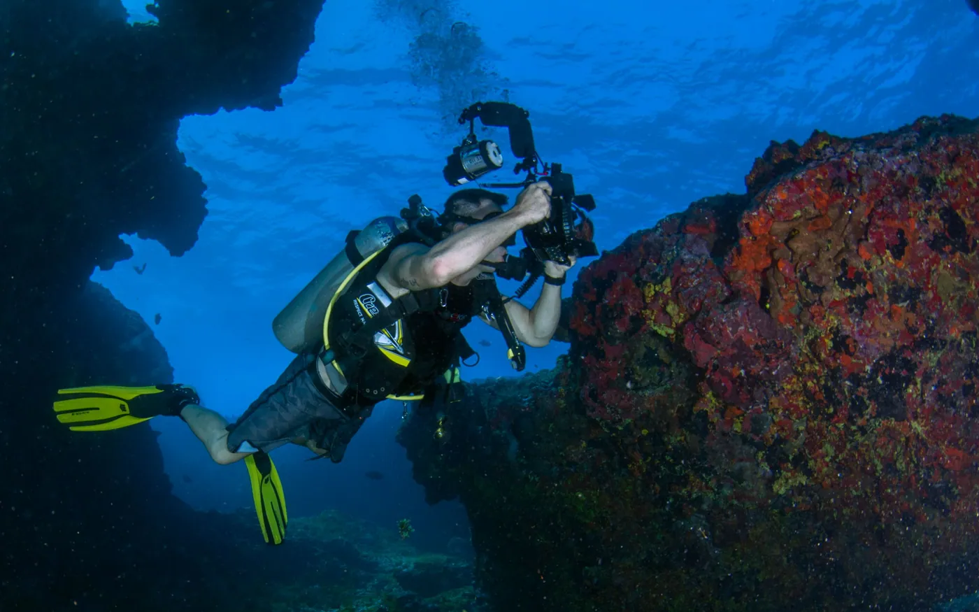 A scuba diver working slowly along a wall with a camera
