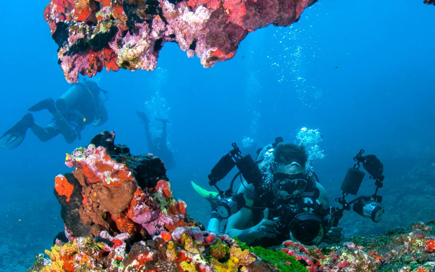 Scuba divers holding position above a reef