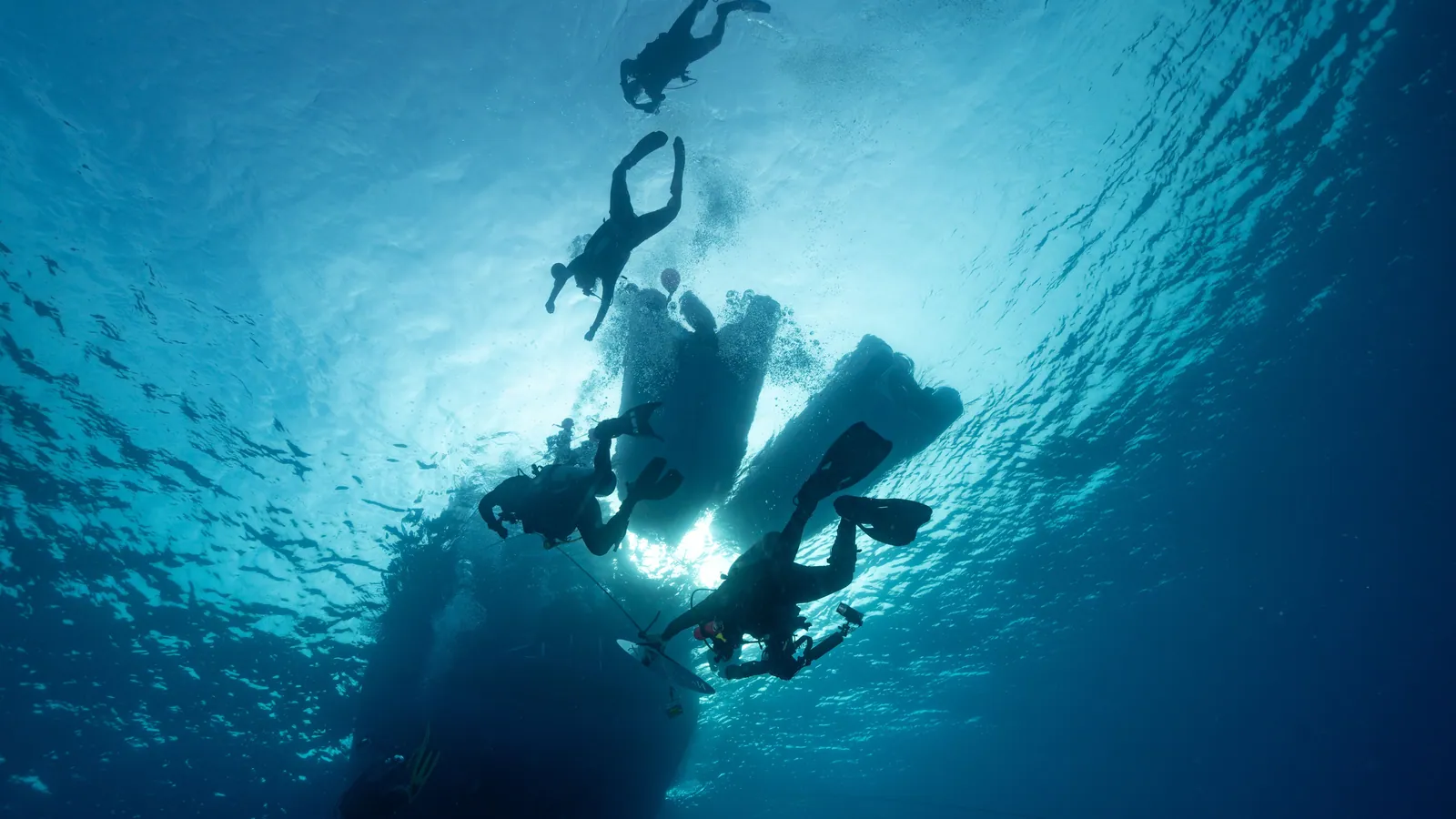 Scuba divers in the water directly below the hull of a boat