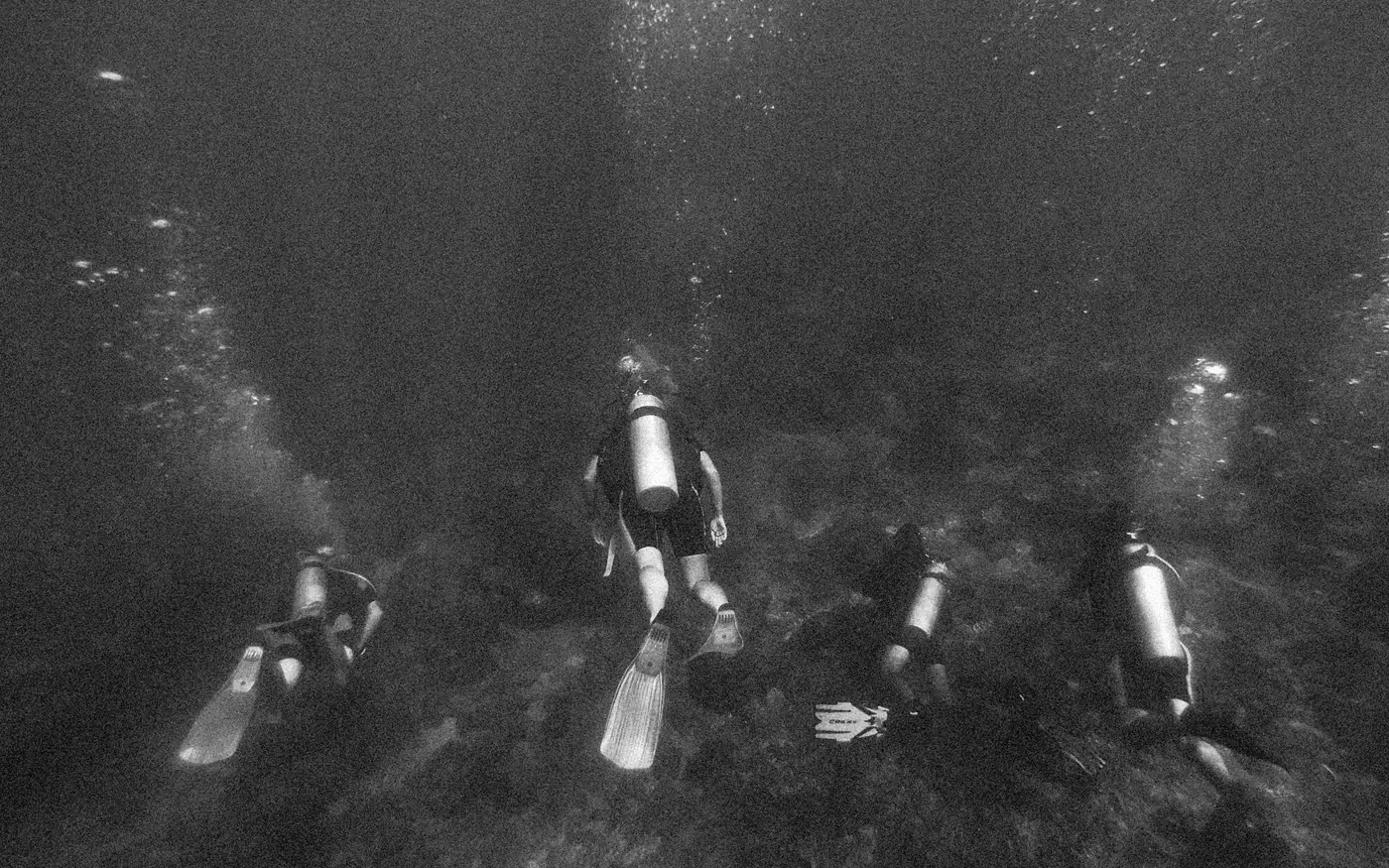 Several scuba divers descending together over a bottom