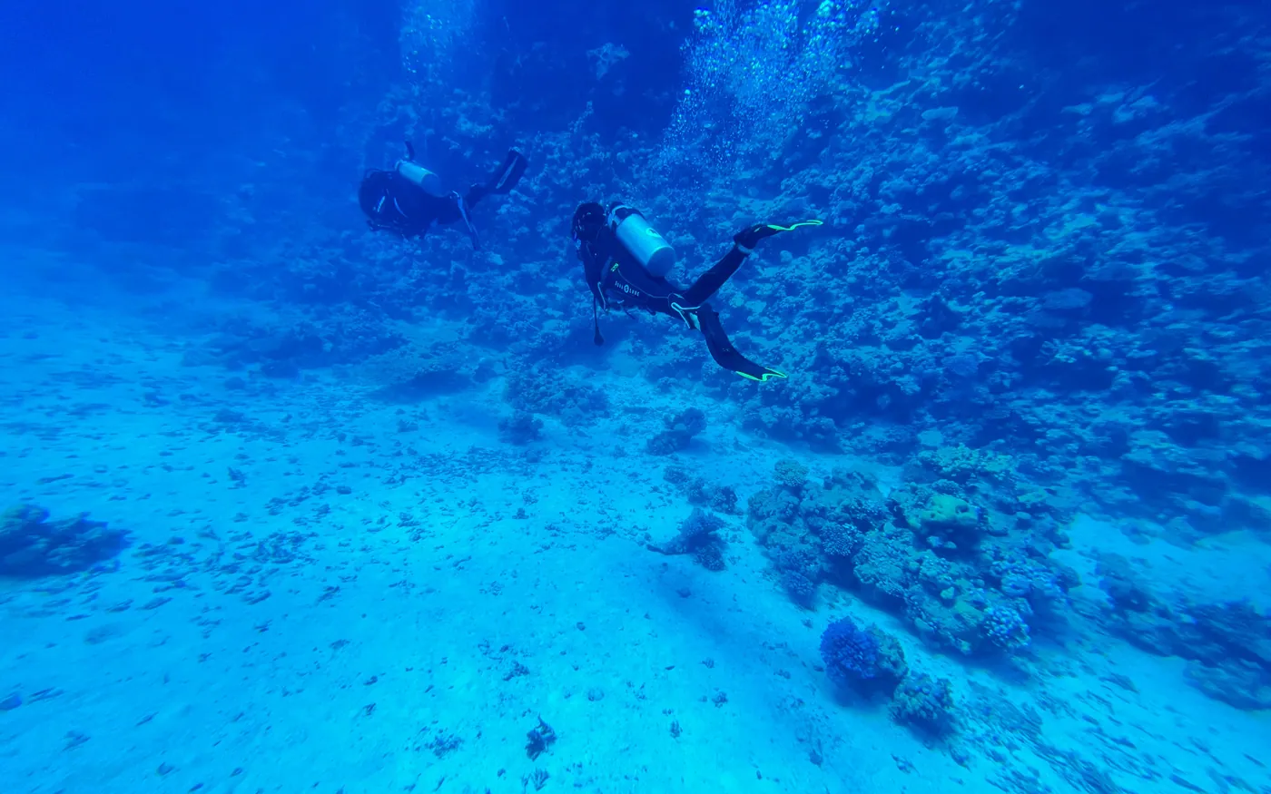 Two scuba divers swimming over a sandy bottom in clear blue water