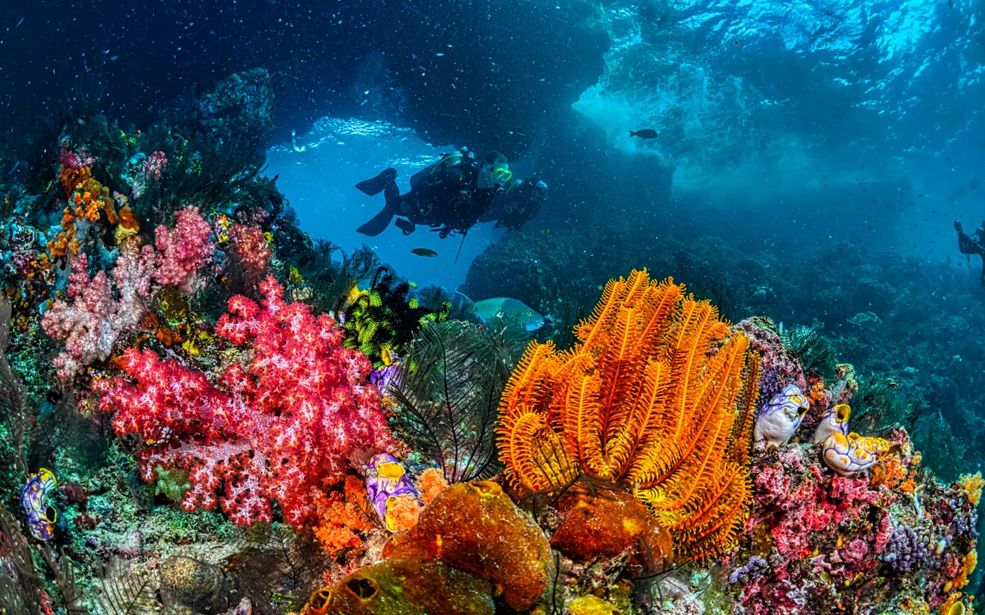 Divers above a heavily structured bottom