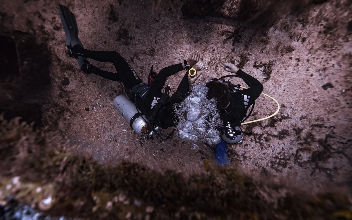 An overhead view of two scuba divers swimming over a sandy, weedy seabed