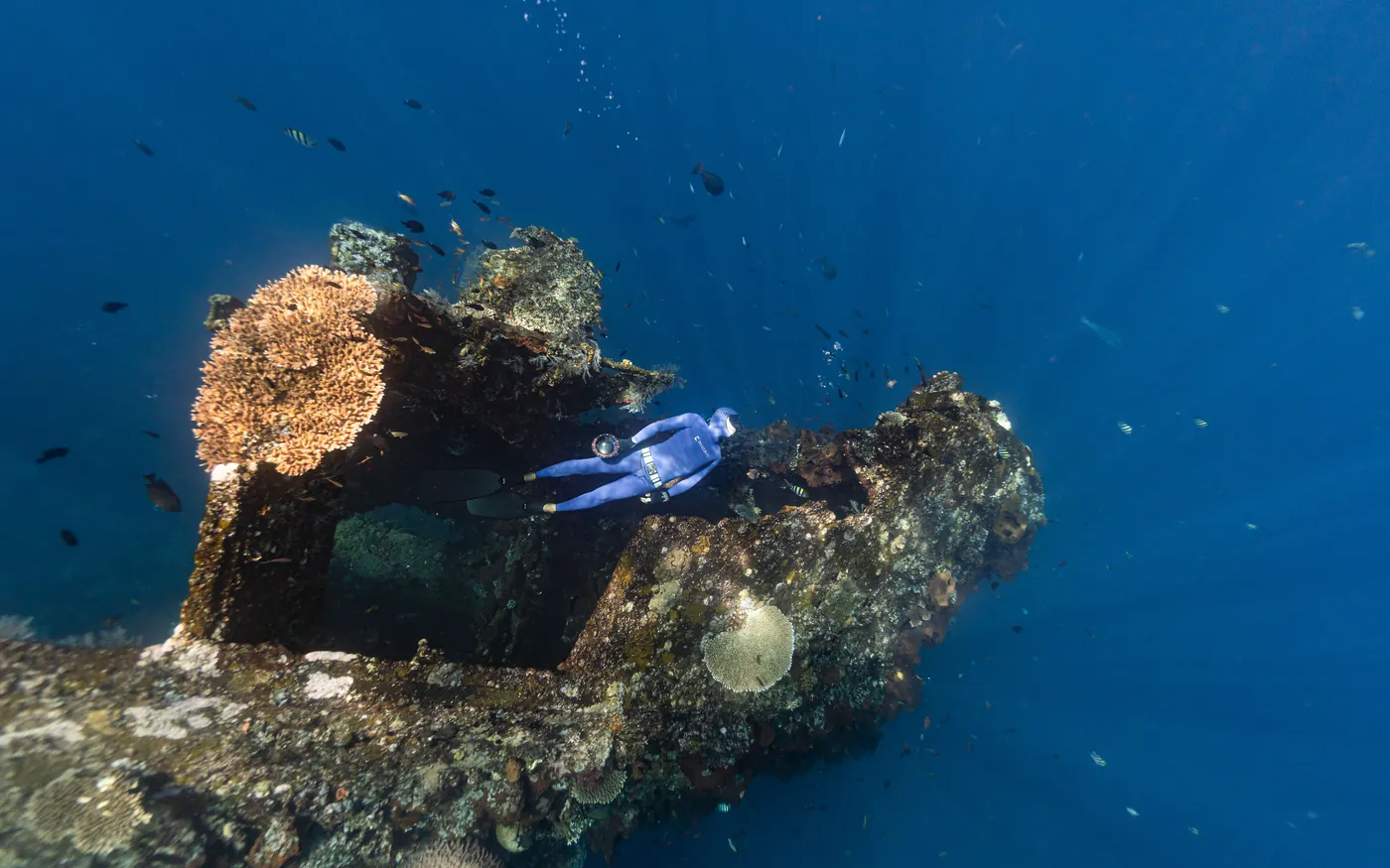 A diver examining heavily encrusted wreck structure
