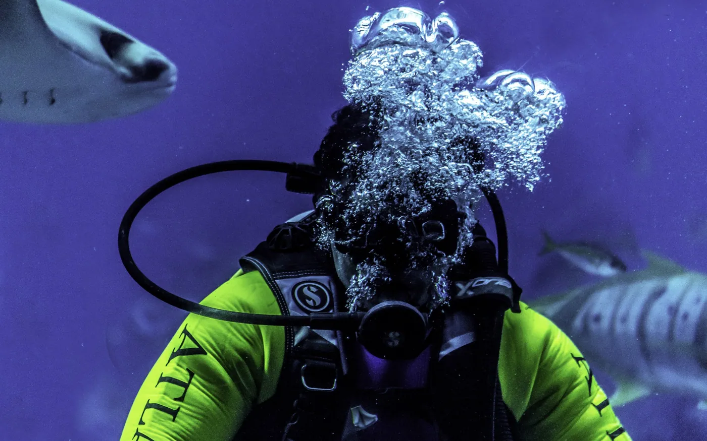 A scuba diver exhaling a burst of bubbles underwater