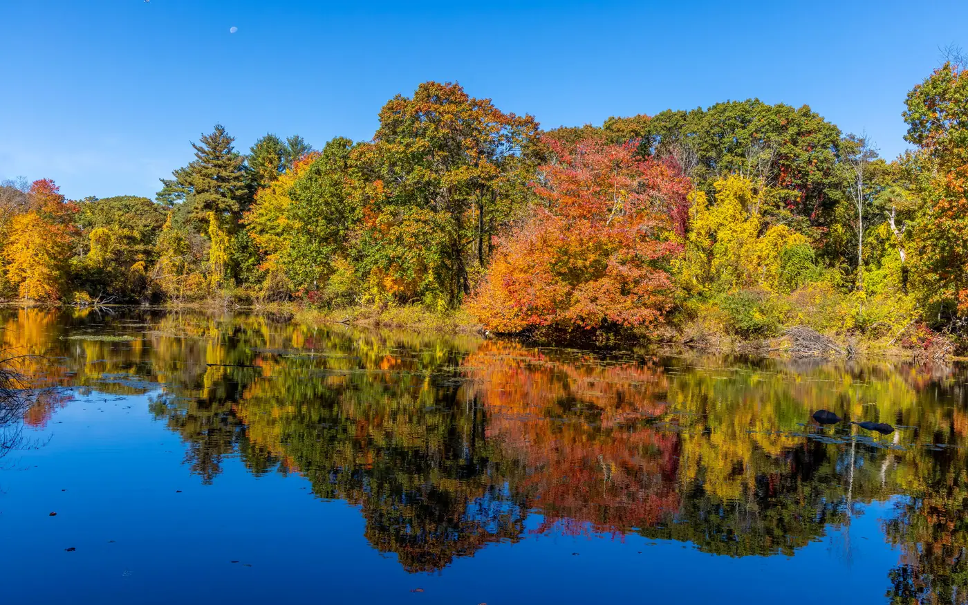 Autumn foliage reflected in still water
