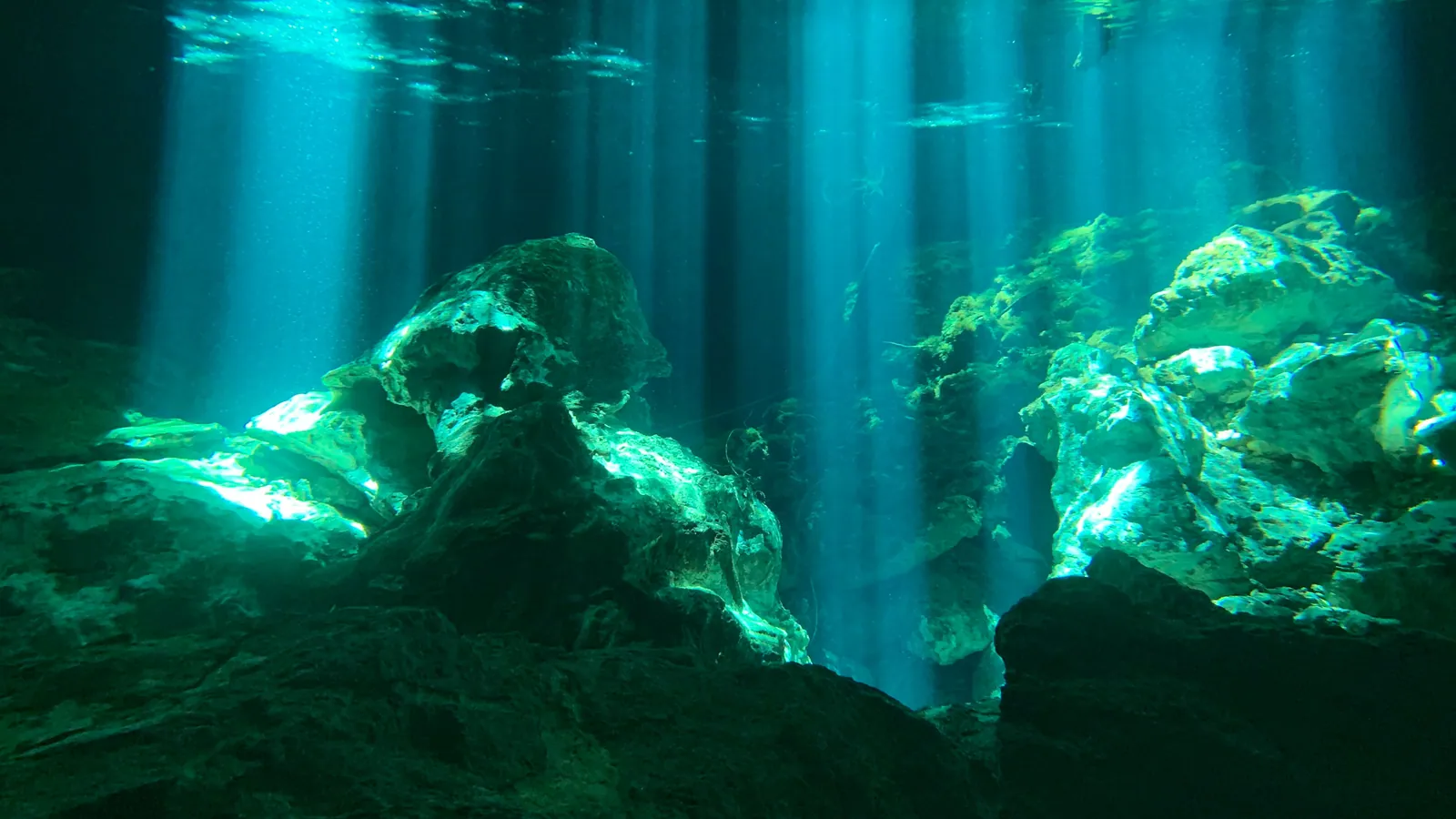 Light falling through dark green water over submerged rock