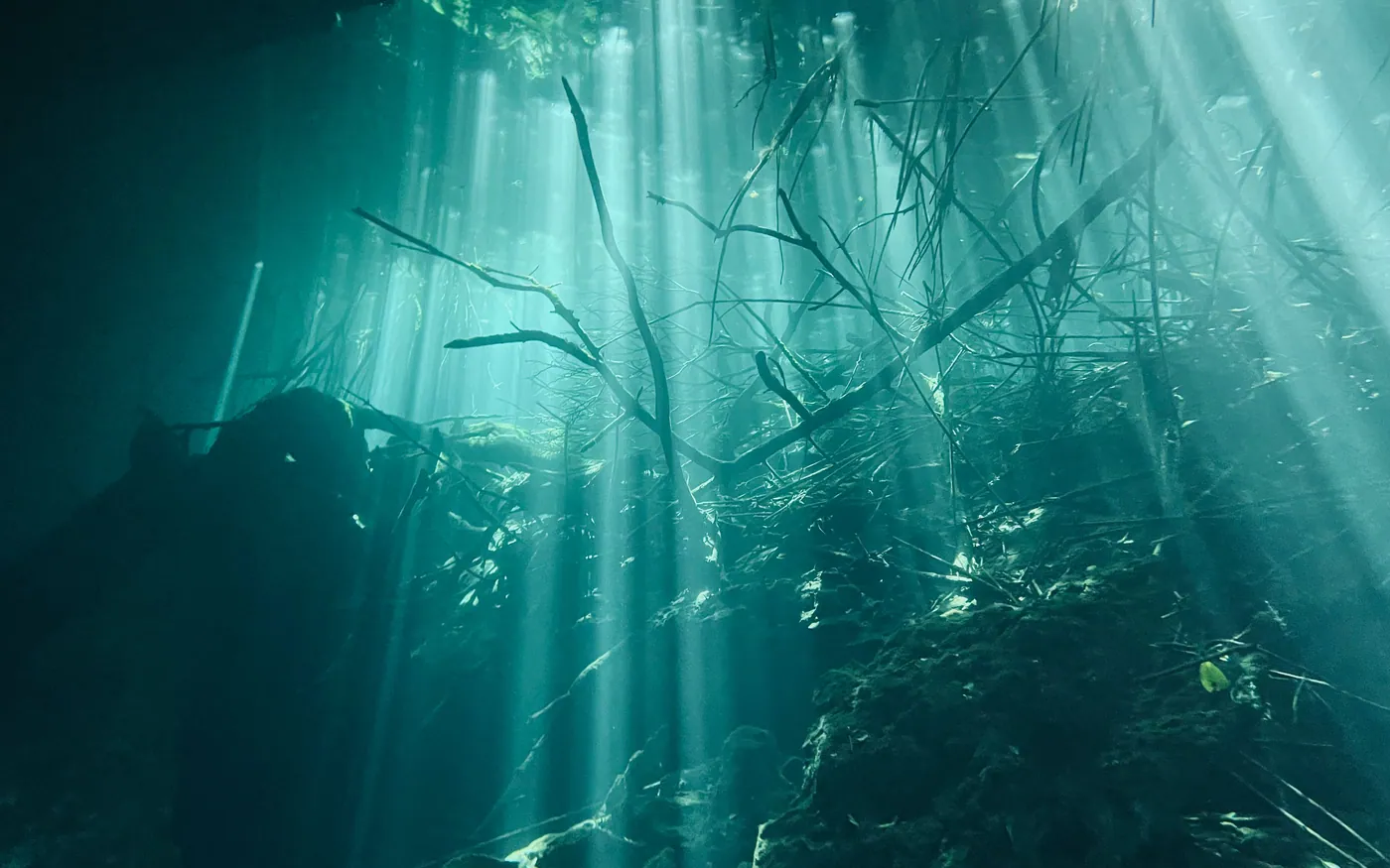 Shafts of light falling through green water