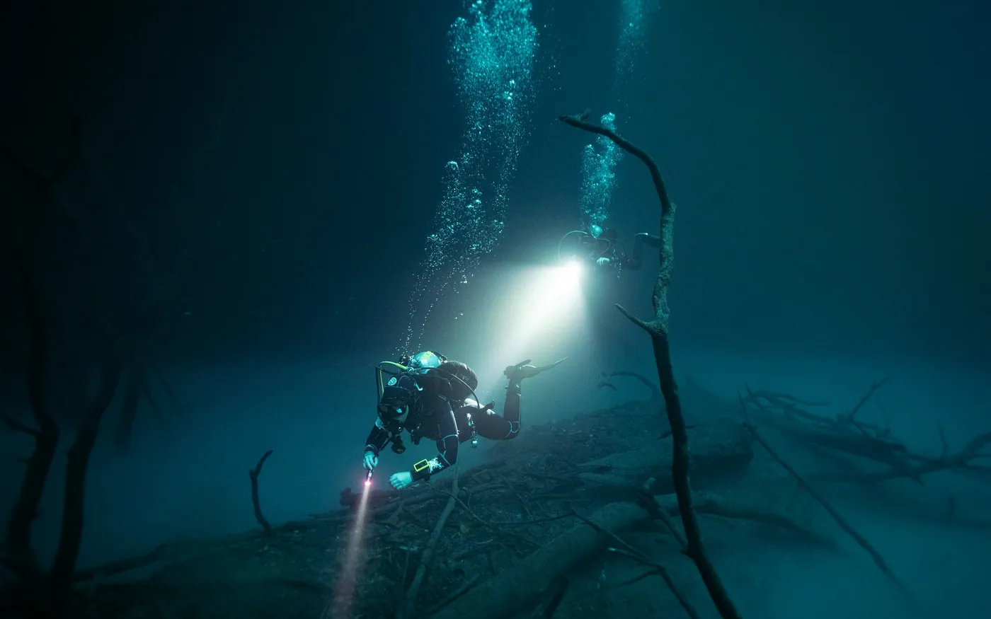 A scuba diver using a bright light among sunken branches