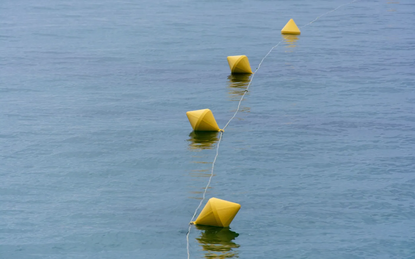 A line of yellow marker buoys across open water