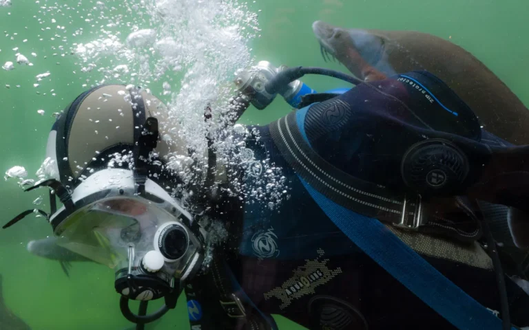 Close-up of divers' masks and regulators with bubbles rising