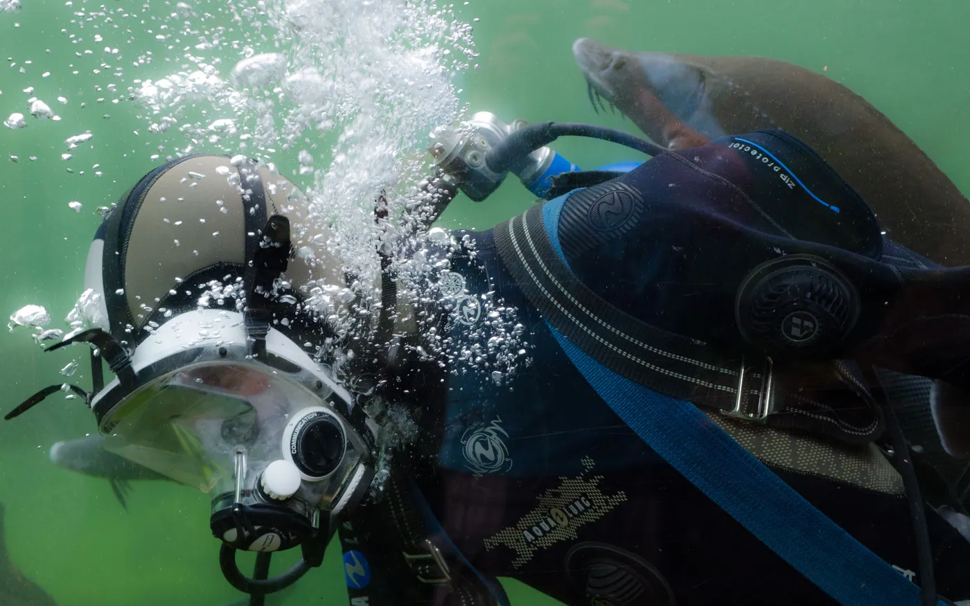 Close-up of divers' masks and regulators with bubbles rising