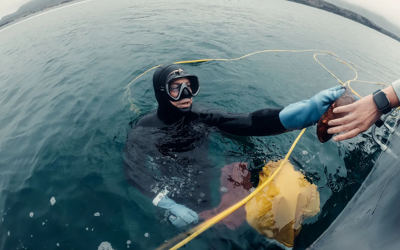 A diver at the surface taking a line passed down from the boat