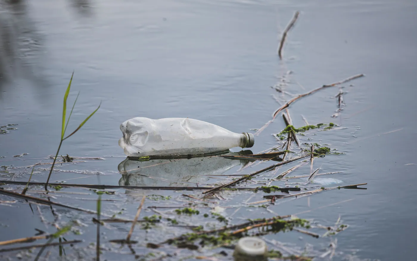 A plastic bottle floating among weed in shallow water