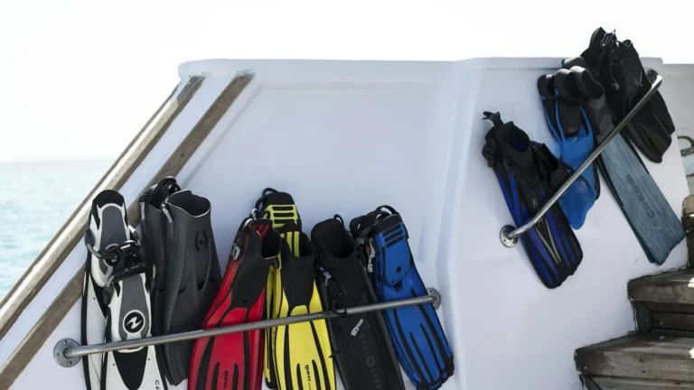 Rental fins in a range of sizes racked along the rail of a dive boat