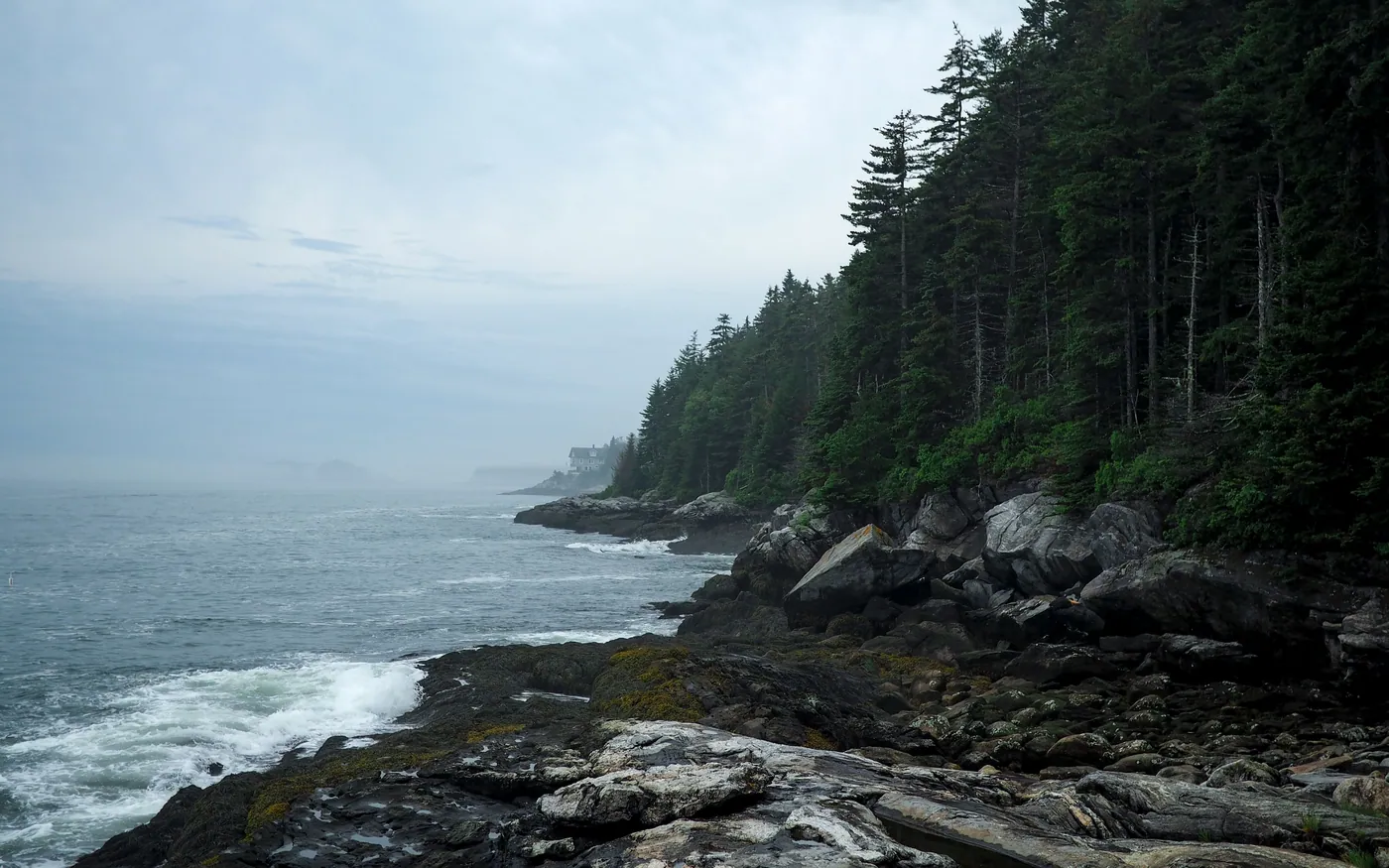A rocky New England coastline backed by conifers in low cloud