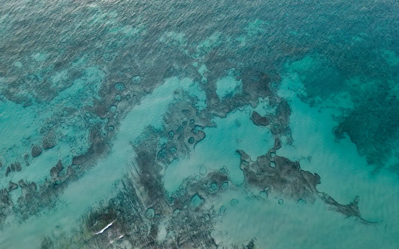 An aerial view of a shallow rocky and weedy seabed close to shore