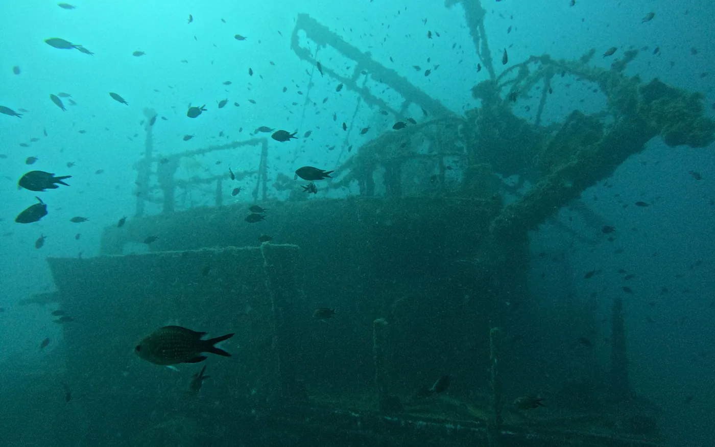 The masts and rigging of a shipwreck standing in green coastal water