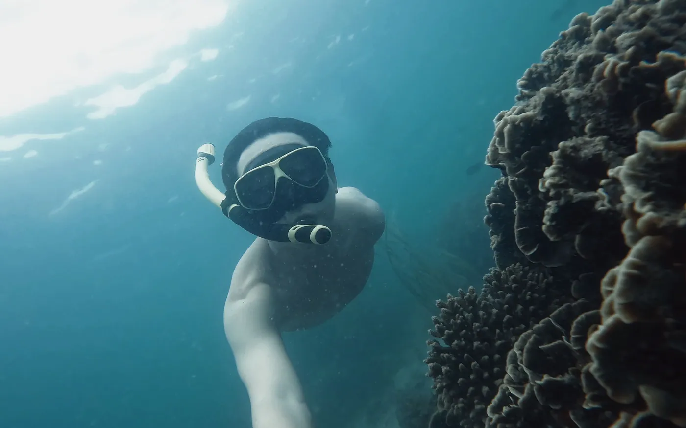 A snorkeler swimming above coral in clear shallow water
