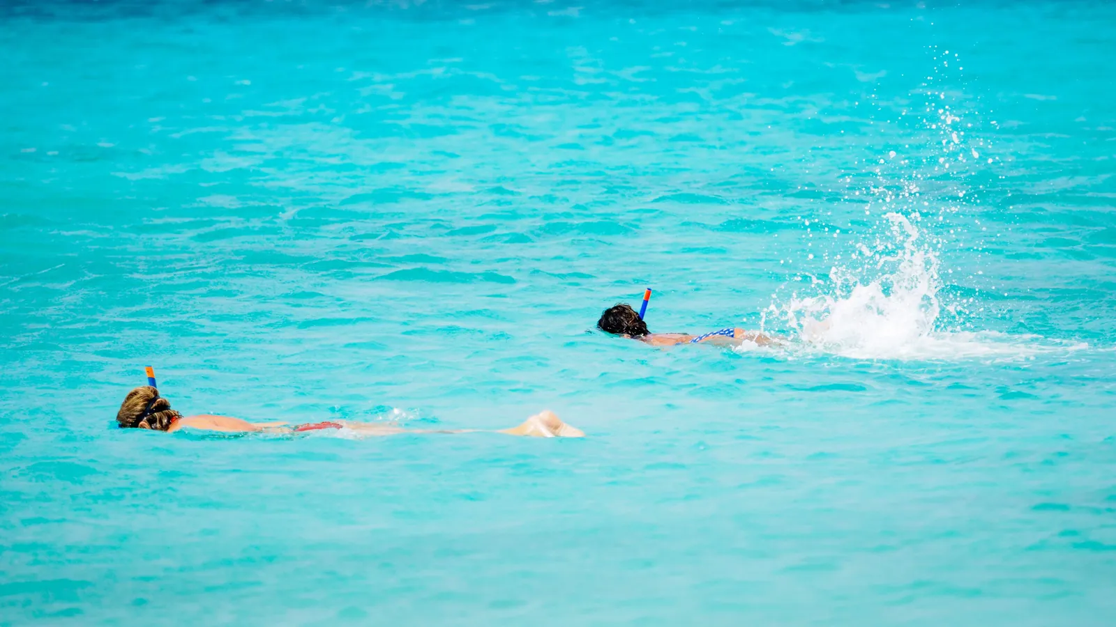 A snorkeler at the surface above a shallow reef