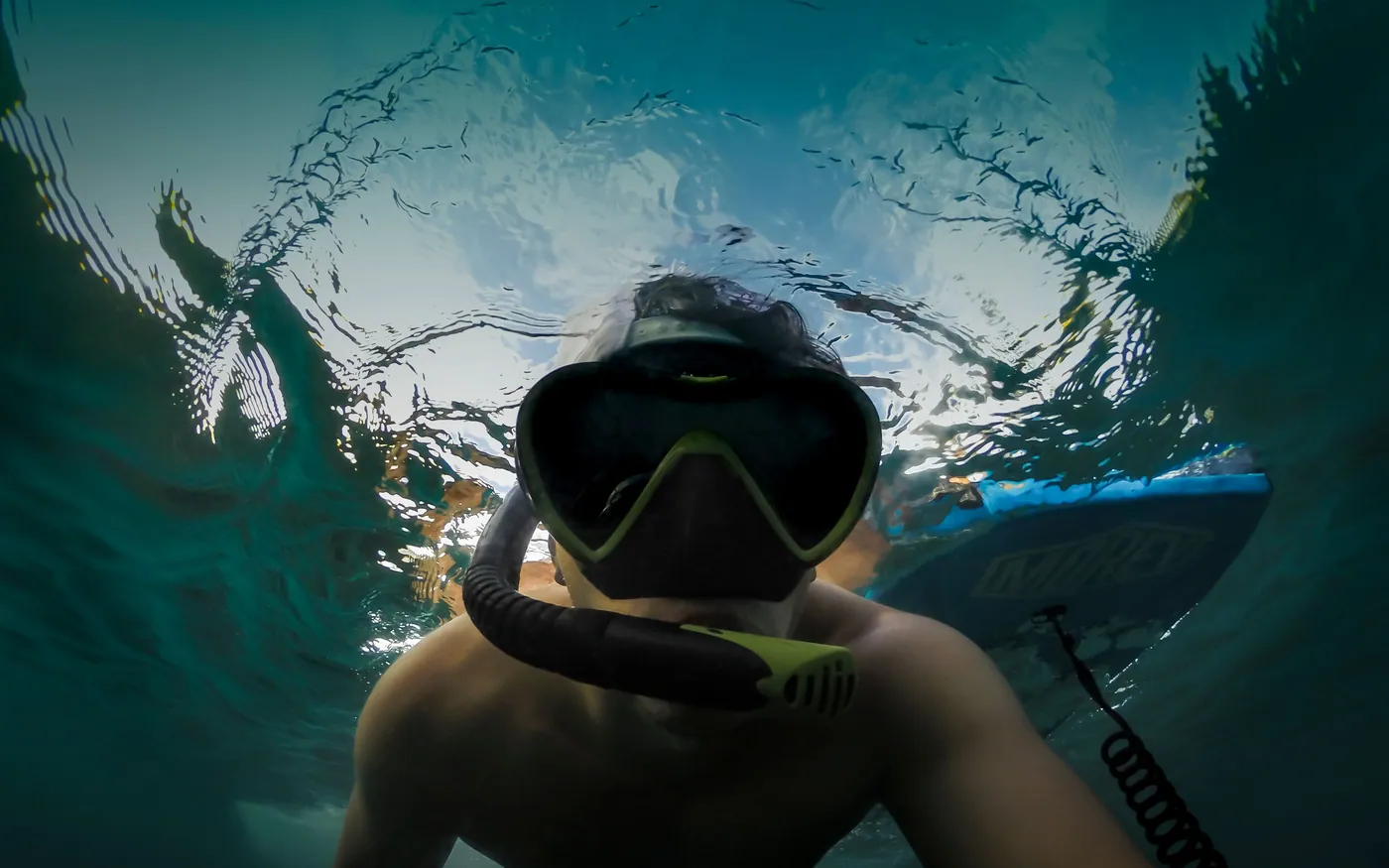 Close-up of a snorkeler in a mask and snorkel at the surface