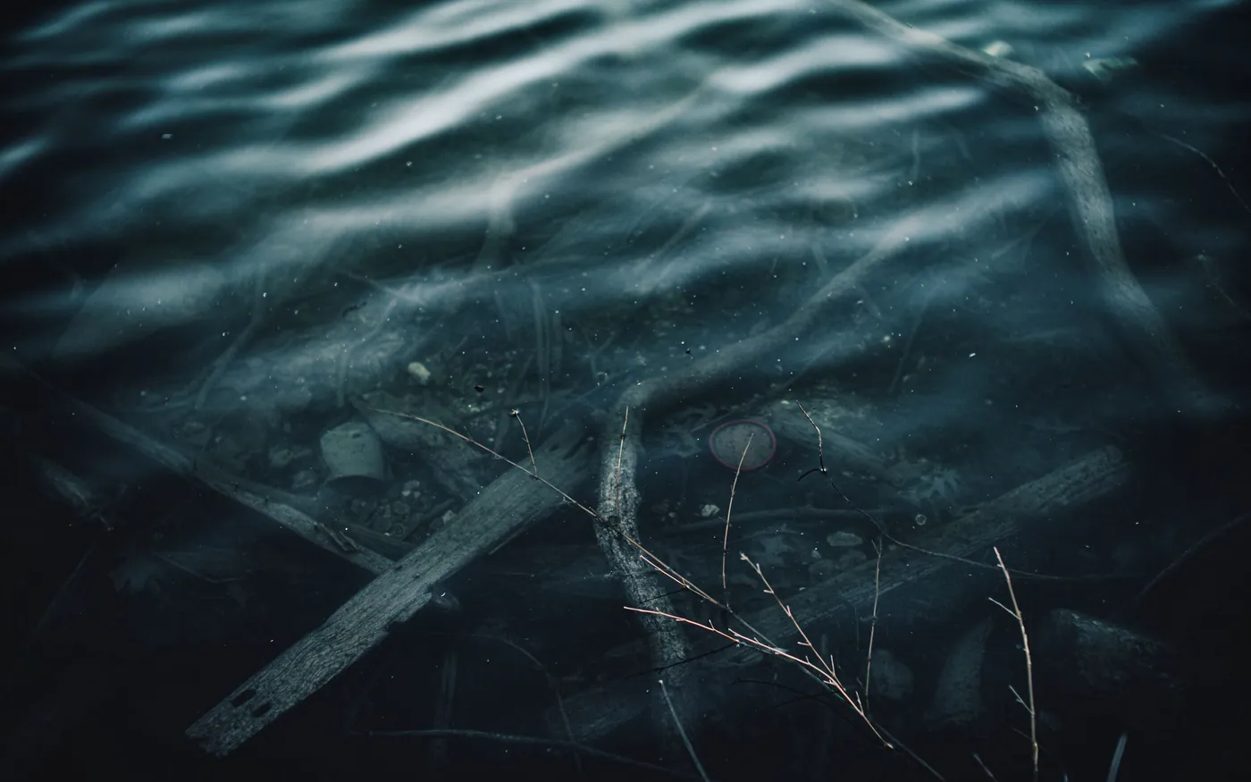 Submerged timber and debris on a dark bottom