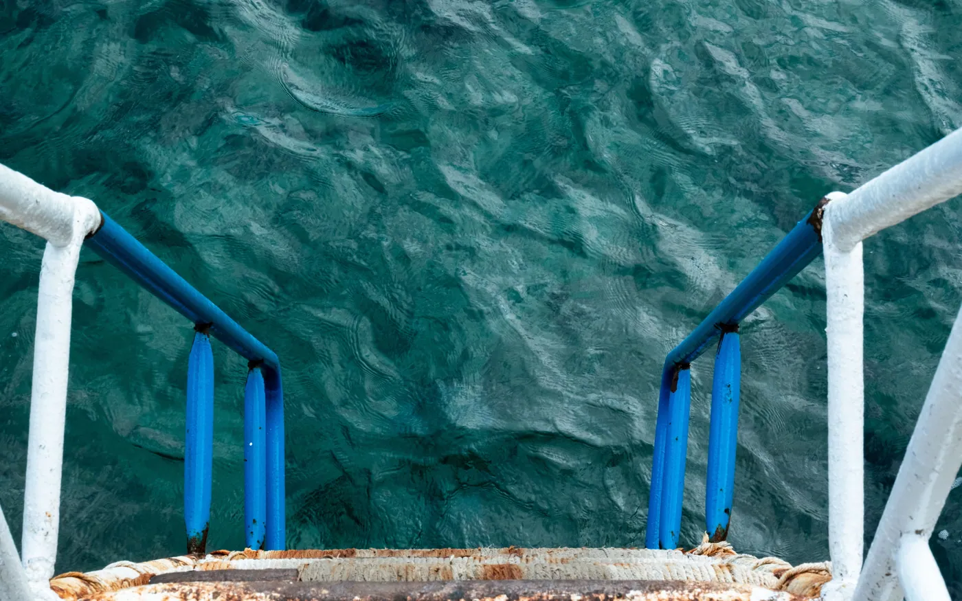 A boat ladder dropping into green water