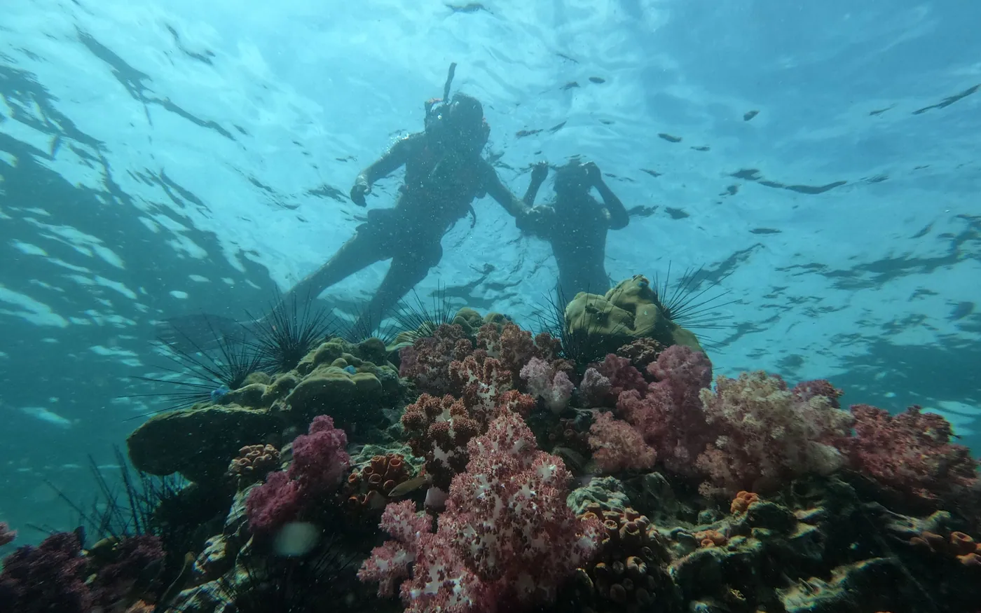 Two scuba divers together over a reef after entering from a boat