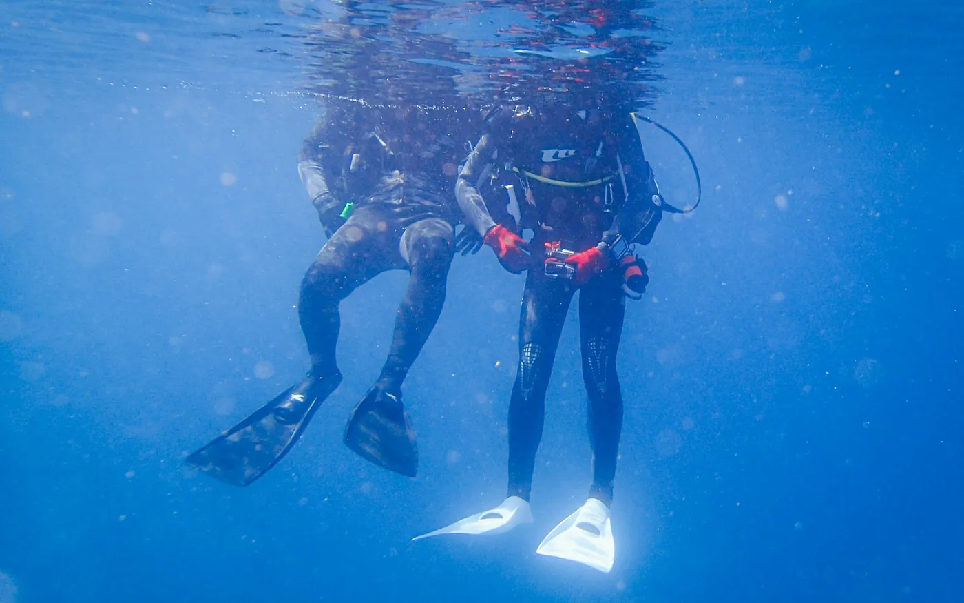 Two scuba divers hanging just below the surface with fins visible