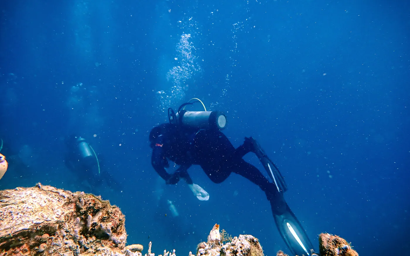 Two scuba divers swimming together above a rocky bottom