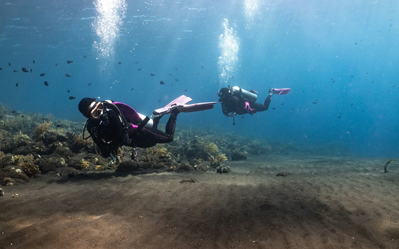 Two scuba divers swimming together above a sandy bottom