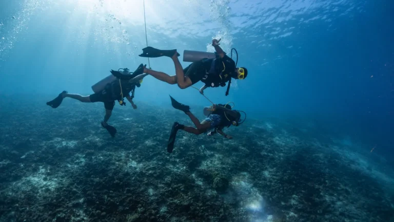 Two scuba divers swimming close together over a reef