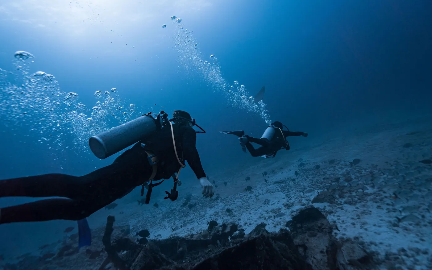 Two scuba divers swimming horizontally a few feet above a sandy bottom