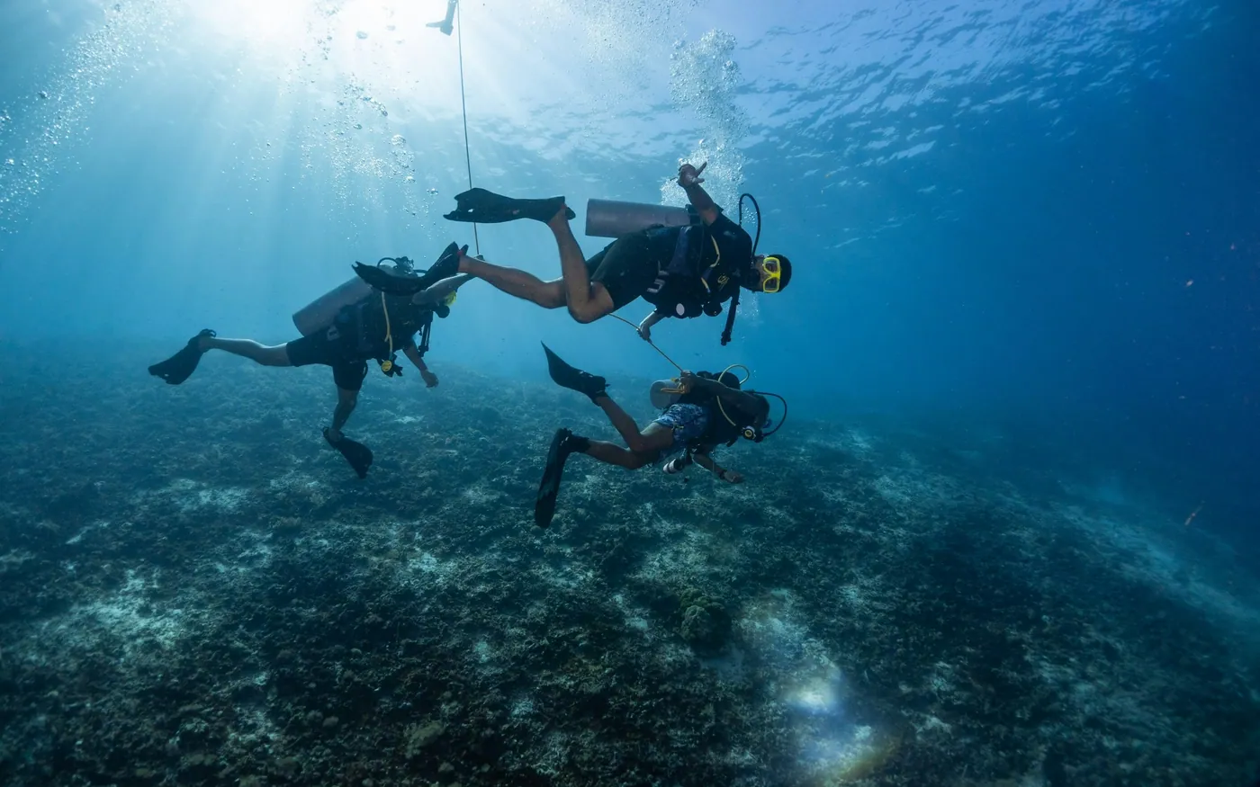 Two scuba divers swimming together along a rocky reef