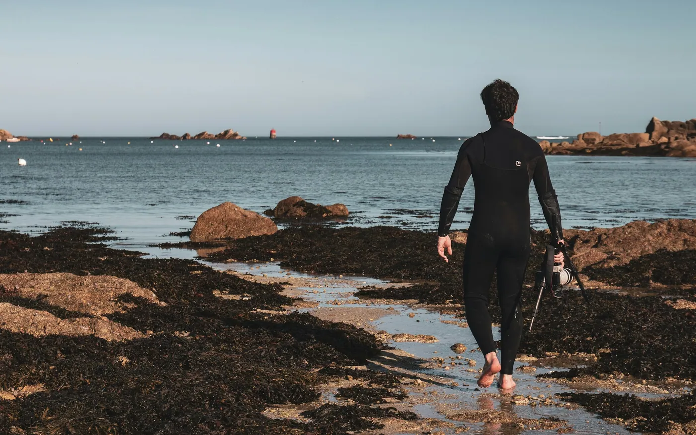 A person in a wetsuit carrying fins across a weed-covered rocky shore