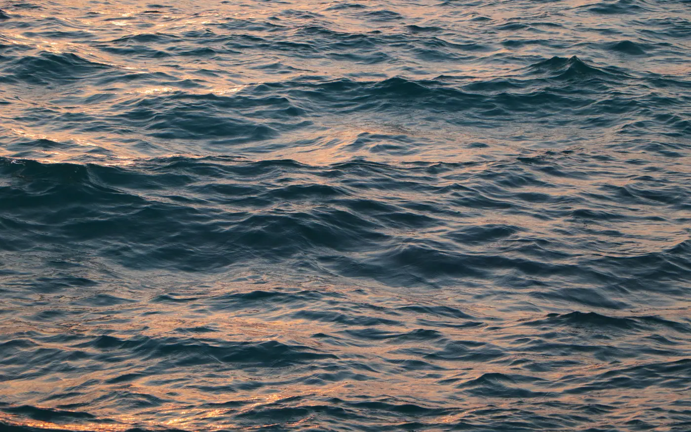 Wind rippling the surface of open water