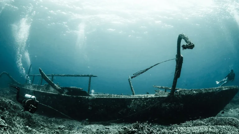A diver alongside the remains of a wooden vessel on the seabed