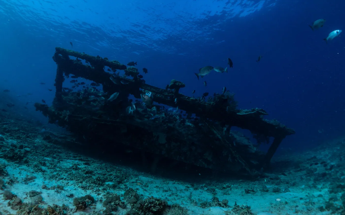 The collapsed hull of a shipwreck in clear blue water